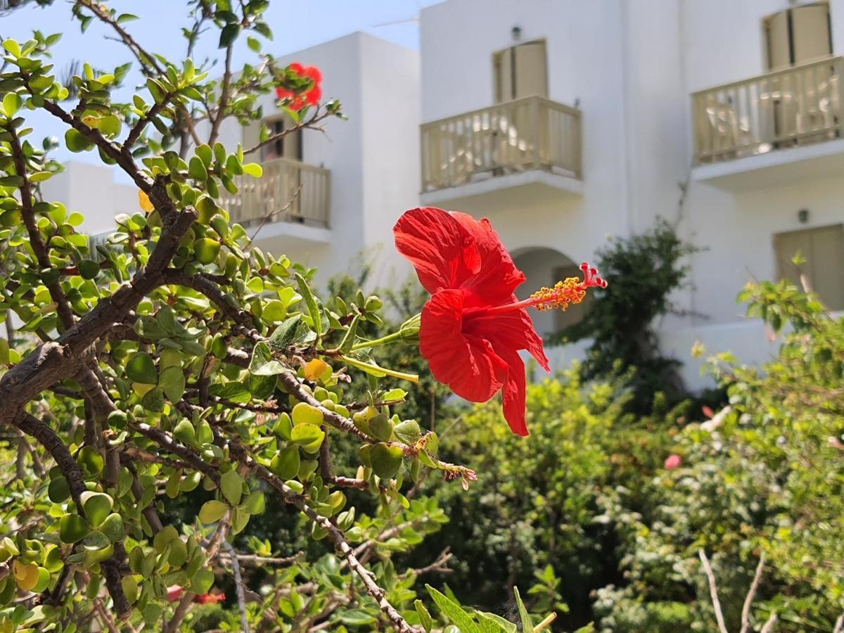 Vidalis Hotel Kionia Buitenkant foto